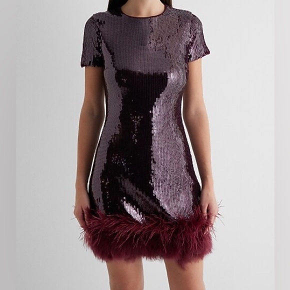 Express Dresses & Skirts - NWT express burgundy sequin feather trim
Mini dress XL $260